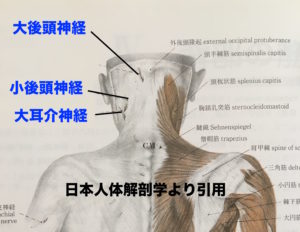 熊本-頭痛専門-整体